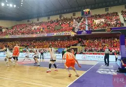 KOK体育_四川队阵容调整明显的简单介绍